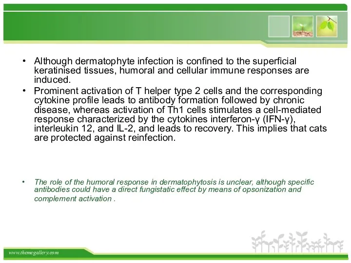 Although dermatophyte infection is confined to the superficial keratinised tissues, humoral and cellular