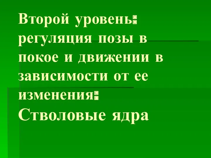 Второй уровень: регуляция позы в покое и движении в зависимости от ее изменения: Стволовые ядра