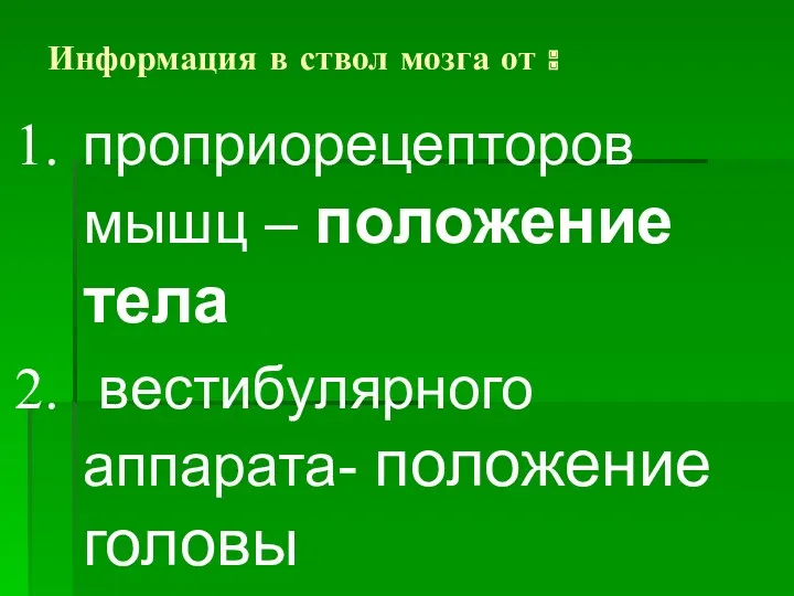 Информация в ствол мозга от : проприорецепторов мышц – положение тела вестибулярного аппарата- положение головы