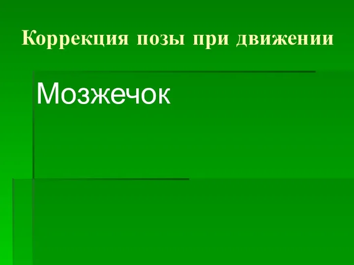 Коррекция позы при движении Мозжечок