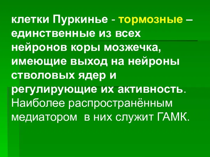 клетки Пуркинье - тормозные – единственные из всех нейронов коры