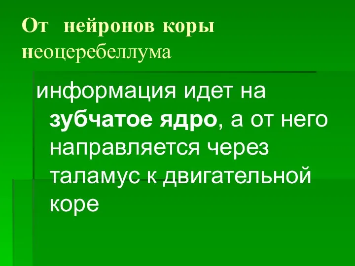 От нейронов коры неоцеребеллума информация идет на зубчатое ядро, а