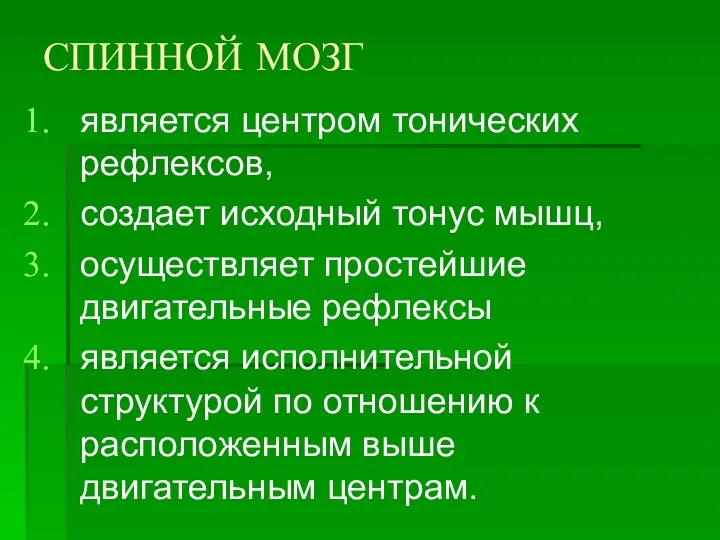 СПИННОЙ МОЗГ является центром тонических рефлексов, создает исходный тонус мышц,