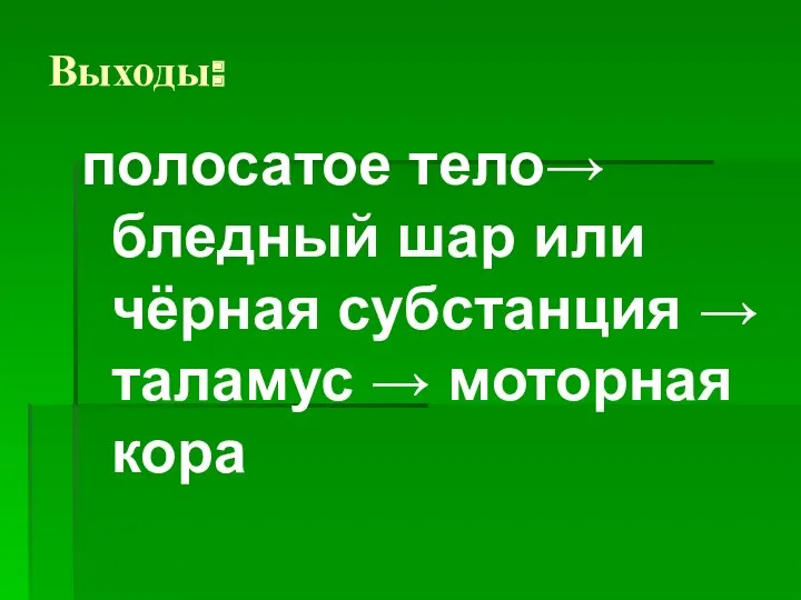 Выходы: полосатое тело→ бледный шар или чёрная субстанция → таламус → моторная кора