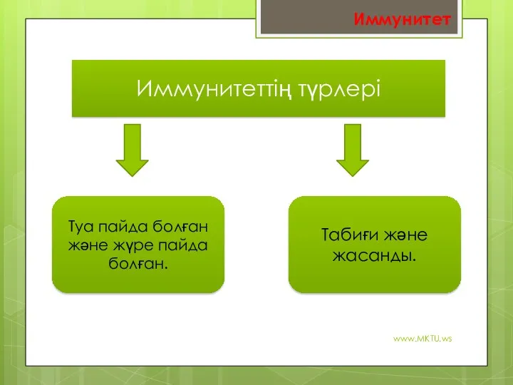 www.MKTU.ws Иммунитеттің түрлері Туа пайда болған және жүре пайда болған. Табиғи және жасанды. Иммунитет