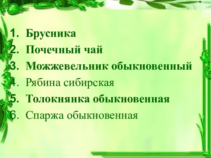 Брусника Почечный чай Можжевельник обыкновенный Рябина сибирская Толокнянка обыкновенная Спаржа обыкновенная