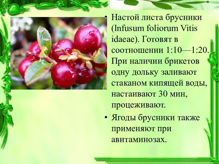 Настой листа брусники (lnfusum foliorum Vitis idaeae). Готовят в соотношении