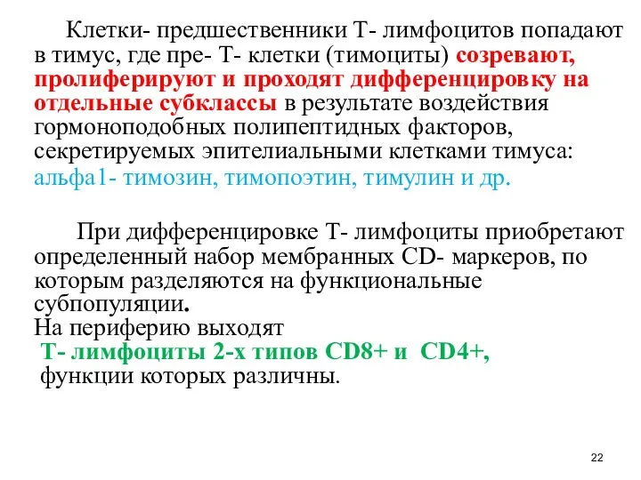 Клетки- предшественники Т- лимфоцитов попадают в тимус, где пре- Т-