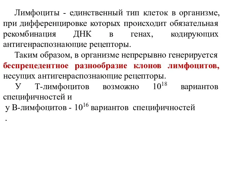 Лимфоциты - единственный тип клеток в организме, при дифференцировке которых