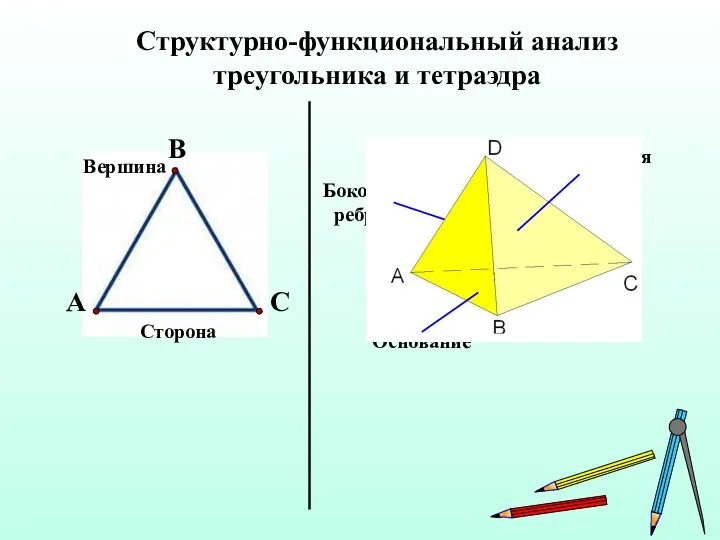 Структурно-функциональный анализ треугольника и тетраэдра A С В Сторона Вершина Основание Боковая грань Вершина Боковое ребро