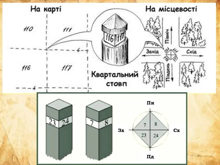 Пн Пд Зх Сх