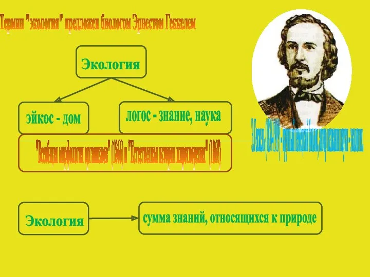 Термин "экология" предложен биологом Эрнестом Геккелем Э.Геккель (1834-1919) - крупный