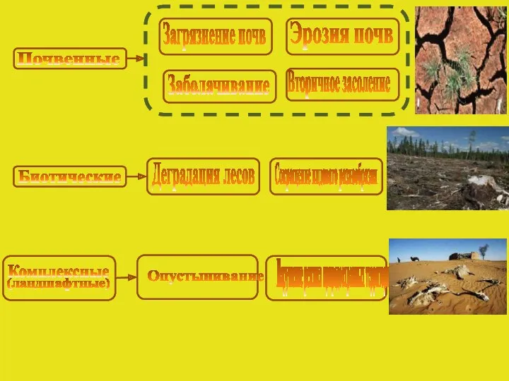 Почвенные Загрязнение почв Эрозия почв Заболачивание Вторичное засоление Биотические Деградация