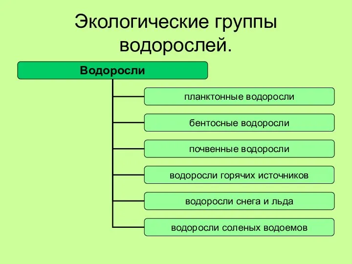 Экологические группы водорослей.