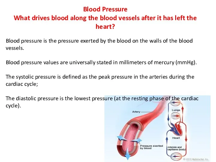 Blood Pressure What drives blood along the blood vessels after it has left
