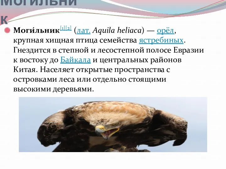 Моги́льник Моги́льник[1][2] (лат. Aquila heliaca) — орёл, крупная хищная птица семейства ястребиных. Гнездится