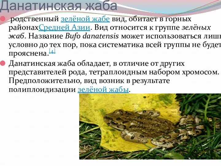 Данатинская жаба родственный зелёной жабе вид, обитает в горных районахСредней Азии. Вид относится