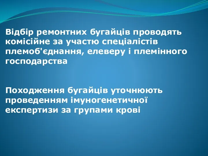 Відбір ремонтних бугайців проводять комісійне за участю спеціалістів племоб'єднання, елеверу