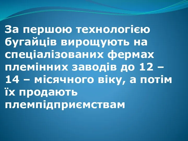 За першою технологією бугайців вирощують на спеціалізованих фермах племінних заводів