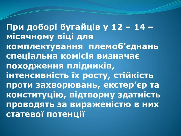 При доборі бугайців у 12 – 14 – місячному віці