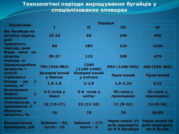 Технологічні періоди вирощування бугайців у спеціалізованих елеверах