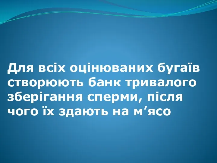 Для всіх оцінюваних бугаїв створюють банк тривалого зберігання сперми, після чого їх здають на м’ясо