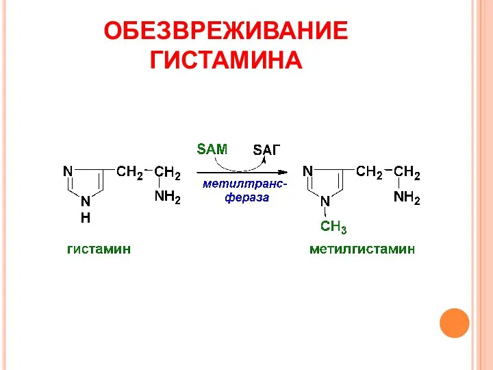 ОБЕЗВРЕЖИВАНИЕ ГИСТАМИНА