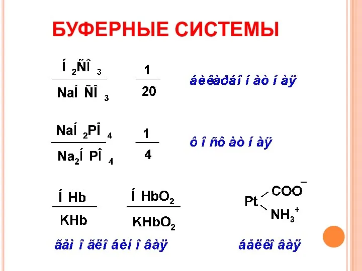 БУФЕРНЫЕ СИСТЕМЫ