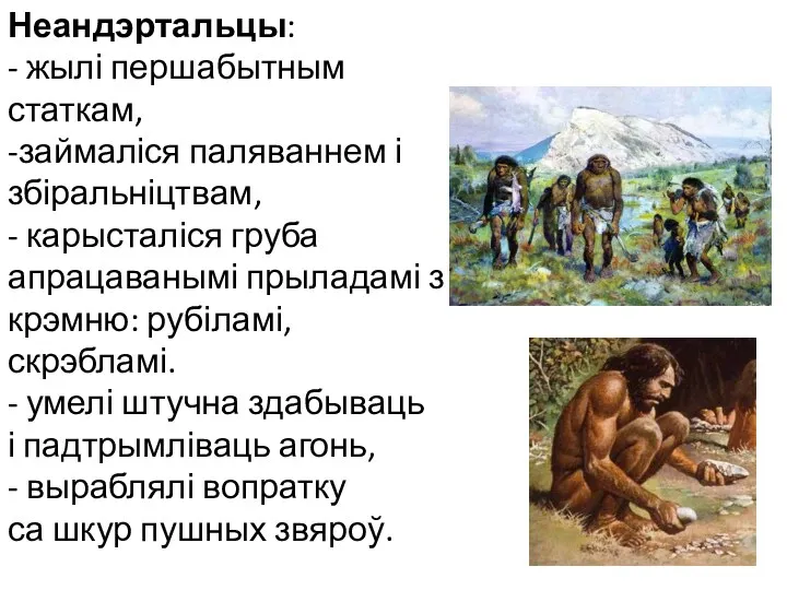 Неандэртальцы: - жылі першабытным статкам, -займаліся паляваннем і збіральніцтвам, -