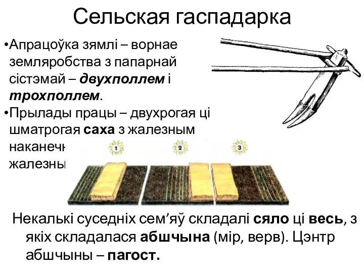 Сельская гаспадарка Некалькі суседніх сем’яў складалі сяло ці весь, з