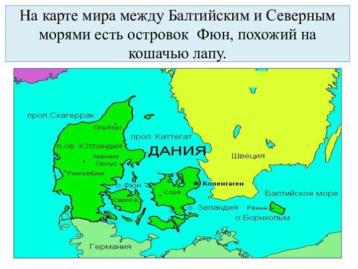 На карте мира между Балтийским и Северным морями есть островок Фюн, похожий на кошачью лапу.