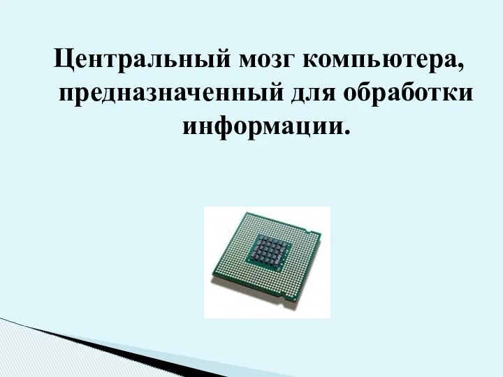 Центральный мозг компьютера, предназначенный для обработки информации.