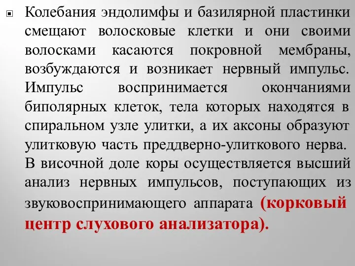 Колебания эндолимфы и базилярной пластинки смещают волосковые клетки и они