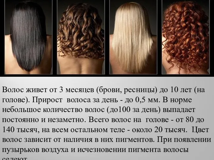 Волос живет от 3 месяцев (брови, ресницы) до 10 лет (на голове). Прирост