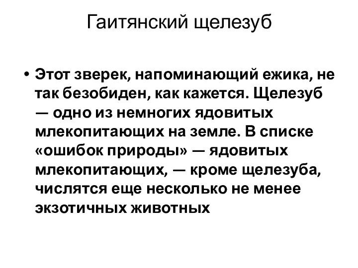 Гаитянский щелезуб Этот зверек, напоминающий ежика, не так безобиден, как кажется. Щелезуб —