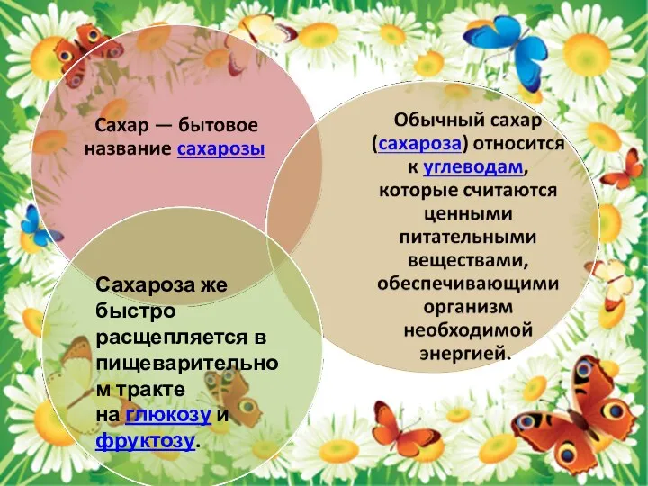 Сахароза же быстро расщепляется в пищеварительном тракте на глюкозу и фруктозу.