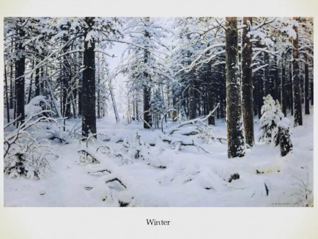 Winter