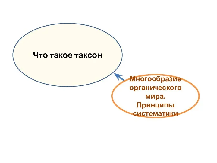 Что такое таксон Многообразие органического мира. Принципы систематики