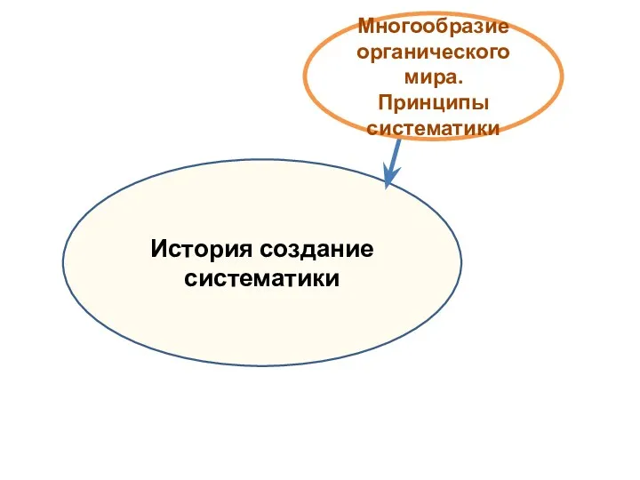 История создание систематики Многообразие органического мира. Принципы систематики