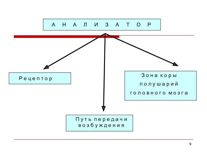 А Н А Л И З А Т О Р Р е ц