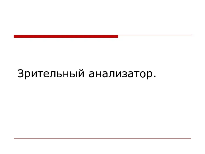 Зрительный анализатор.