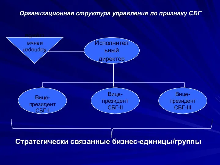 Организационная структура управления по признаку СБГ Стратегически связанные бизнес-единицы/группы Исполнительный