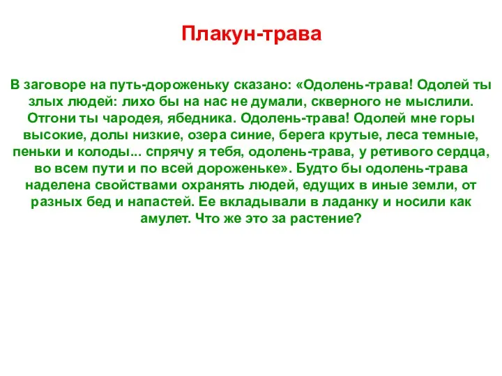 Leymus arenarius В заговоре на путь-дороженьку сказано: «Одолень-трава! Одолей ты