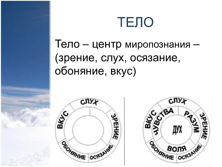 ТЕЛО Тело – центр миропознания – (зрение, слух, осязание, обоняние, вкус)