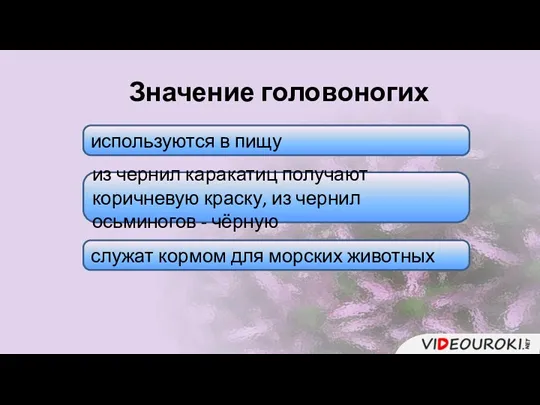 Значение головоногих используются в пищу из чернил каракатиц получают коричневую