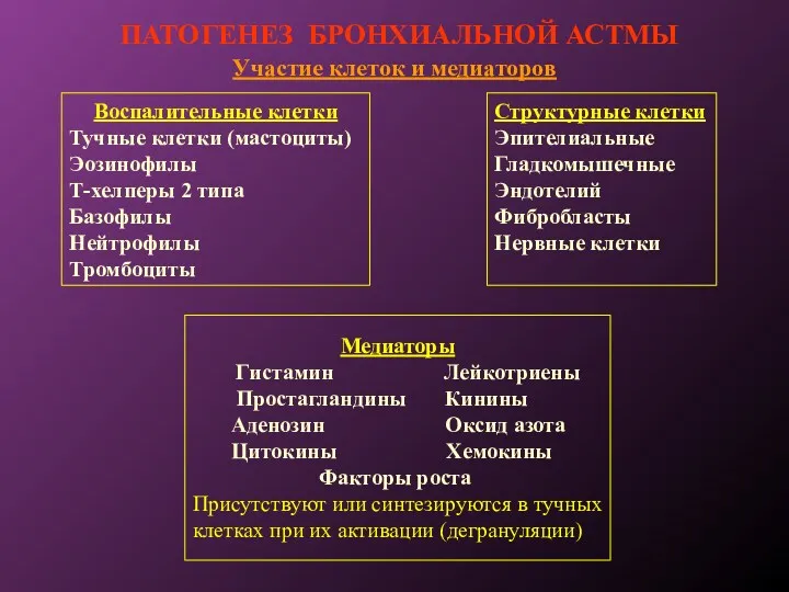 ПАТОГЕНЕЗ БРОНХИАЛЬНОЙ АСТМЫ Участие клеток и медиаторов Воспалительные клетки Тучные