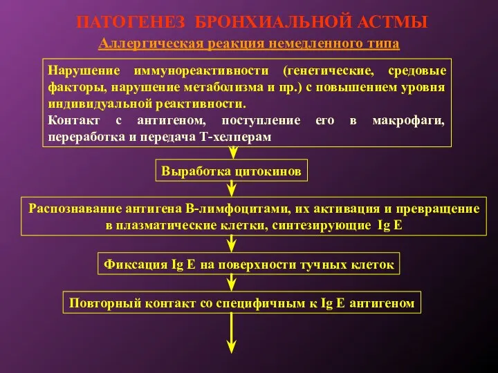 ПАТОГЕНЕЗ БРОНХИАЛЬНОЙ АСТМЫ Аллергическая реакция немедленного типа Нарушение иммунореактивности (генетические,