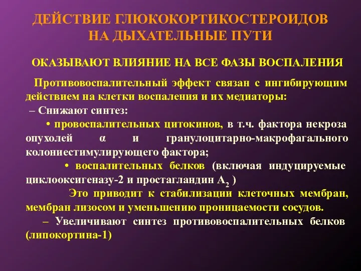 ДЕЙСТВИЕ ГЛЮКОКОРТИКОСТЕРОИДОВ НА ДЫХАТЕЛЬНЫЕ ПУТИ ОКАЗЫВАЮТ ВЛИЯНИЕ НА ВСЕ ФАЗЫ