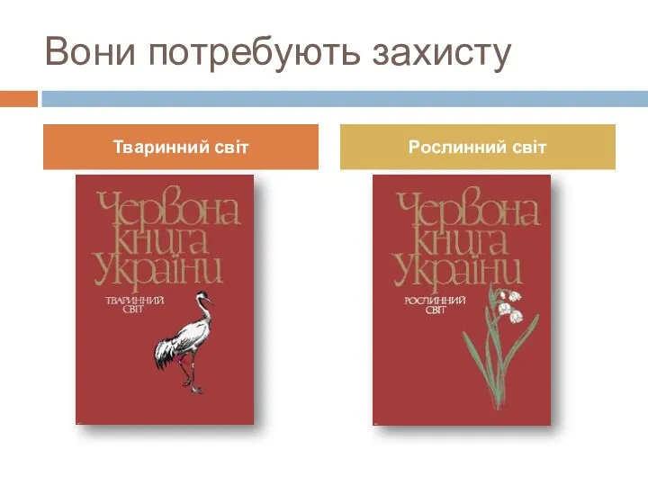Вони потребують захисту Тваринний світ Рослинний світ