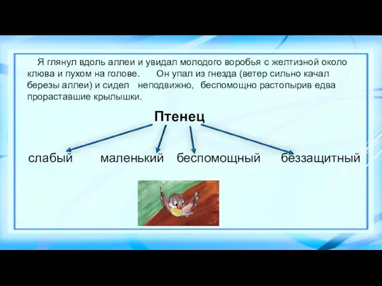 Птенец Я глянул вдоль аллеи и увидал молодого воробья Он